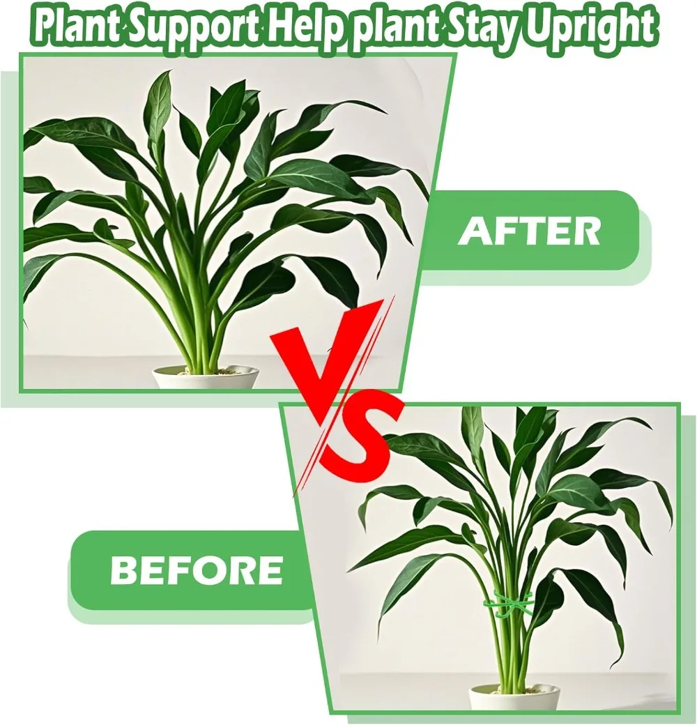 Flower Plant Stem Support Stak - Florist Supp 评论和价格
