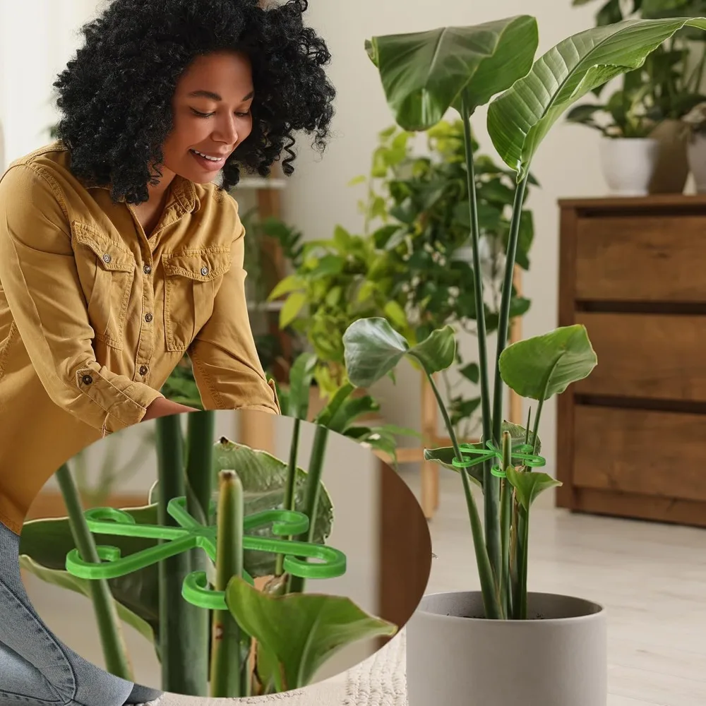 Flower Plant Stem Support Stak - Florist Supp 评论和价格