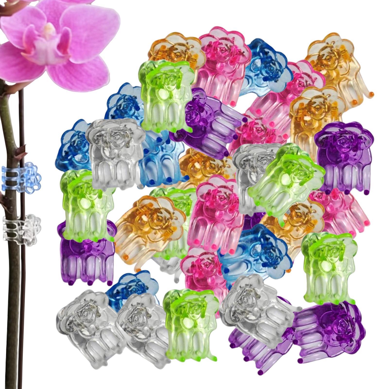 Orchid Clips 60 Pieces Butterf - Florist Supp 评论和价格