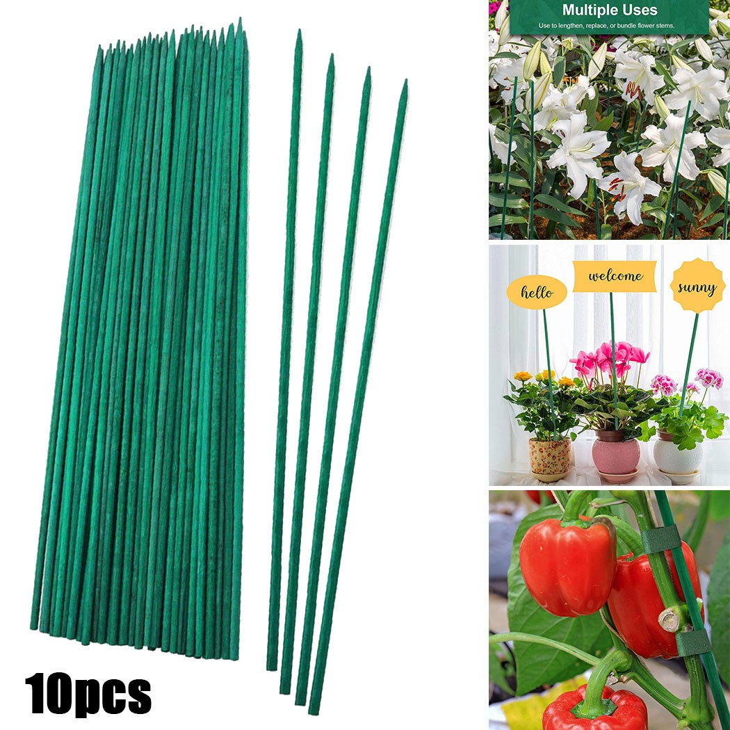 10pcs 40cm Green Plant Support - Florist Supp 评论和价格