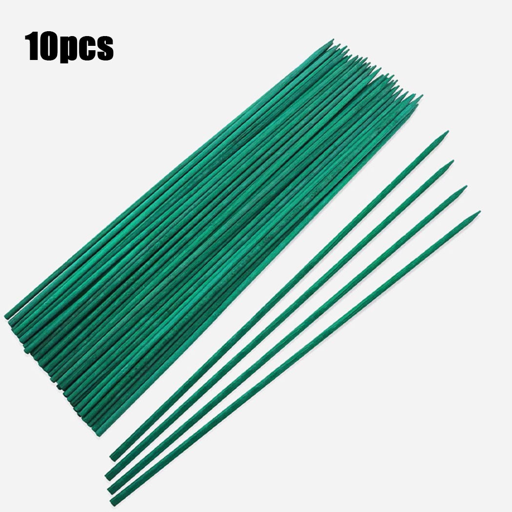 10pcs 40cm Green Plant Support - Florist Supp 评论和价格