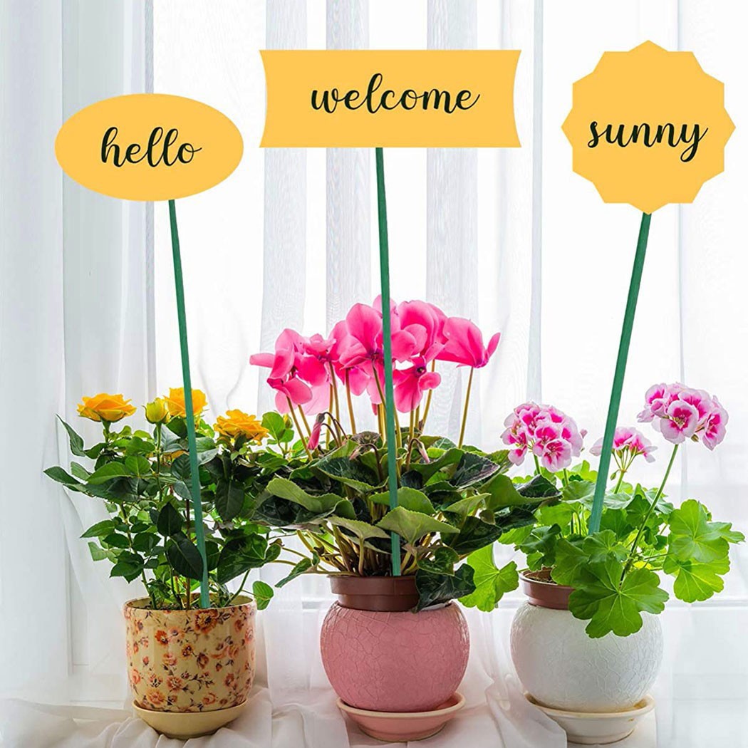 10pcs 40cm Green Plant Support - Florist Supp 评论和价格