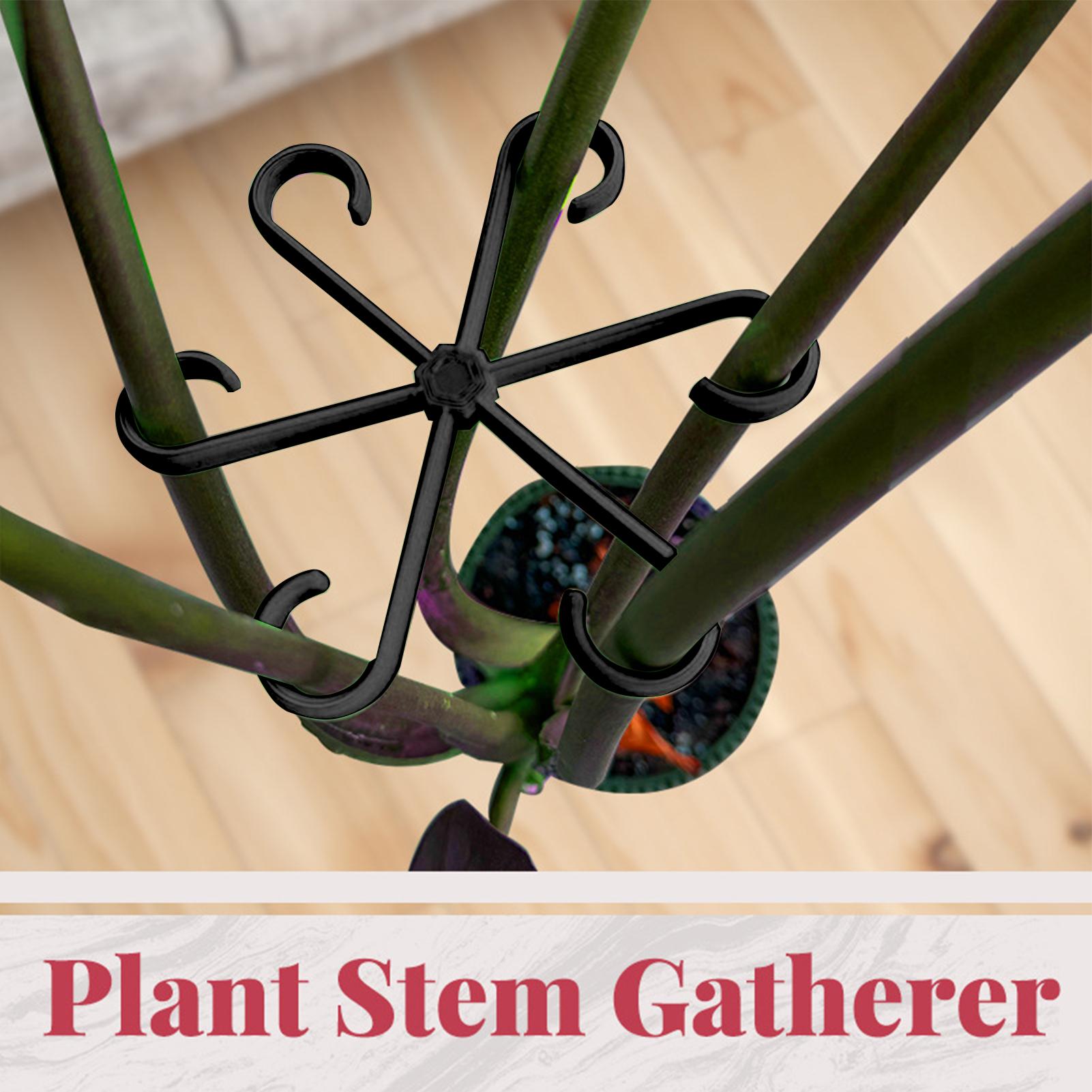 4pcs Plant Stem Support Clips  - Florist Supp 评论和价格