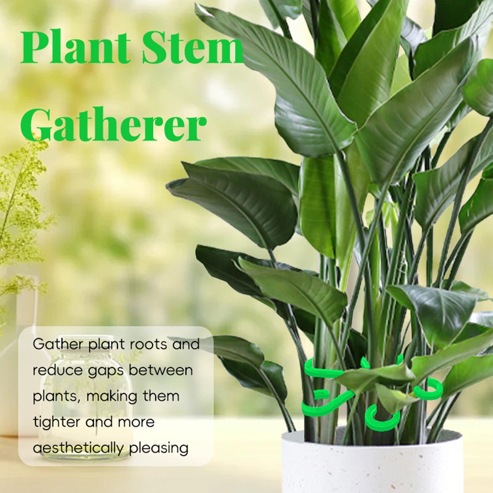 4pcs Plant Stem Support Clips  - Florist Supp 评论和价格