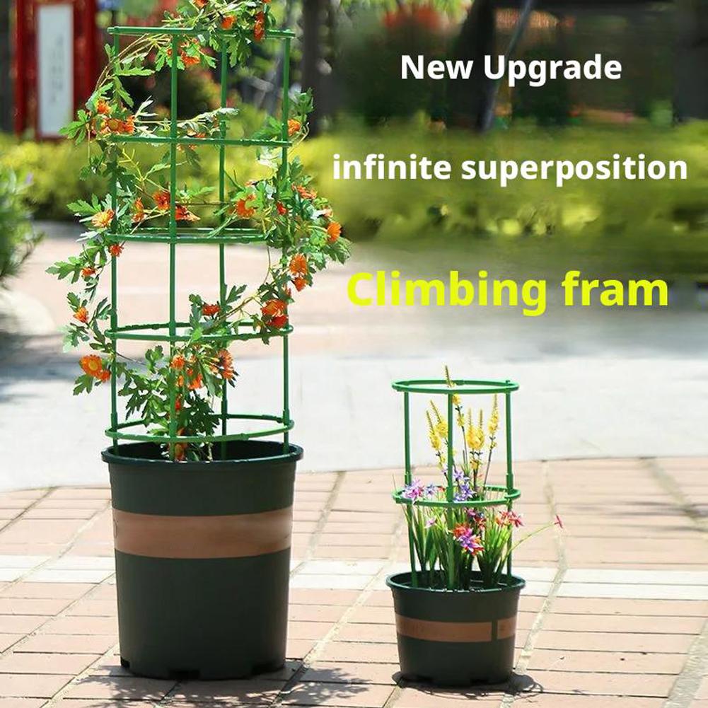 Tomato Cages Trellis Plastic C - Florist Supp 评论和价格