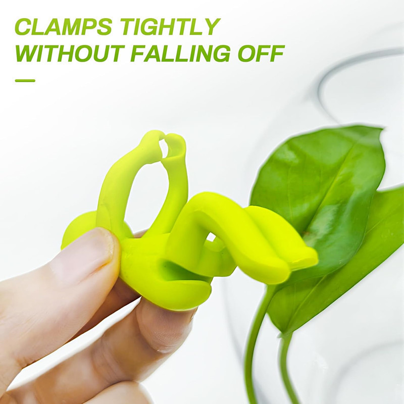 Hydroponic Plant Fixing Figuri - Florist Supp 评论和价格