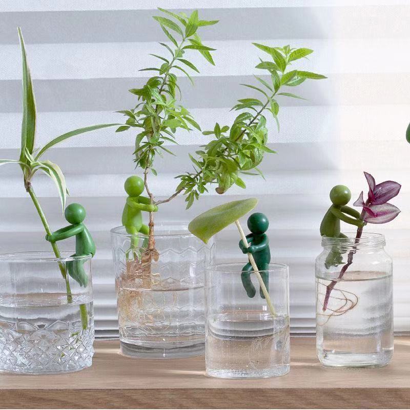 Hydroponic Plant Fixing Figuri - Florist Supp 评论和价格