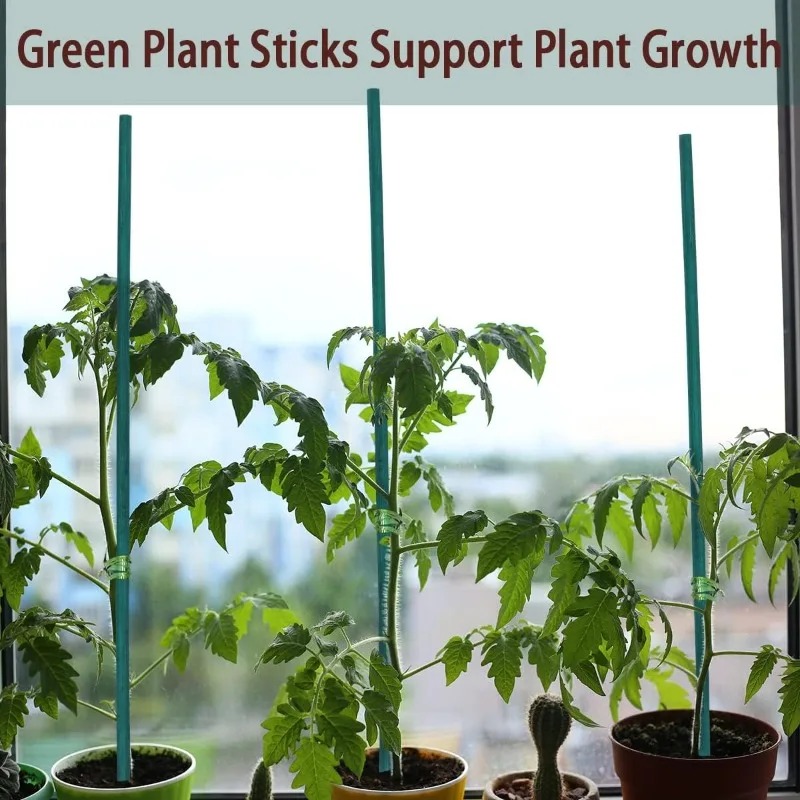 Plant Support Sticks Canes Bam - Florist Supp 评论和价格