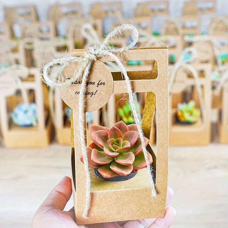 10Set Succulent Wrap Gift Bags - Flower Wrap Kraft 评论和价格