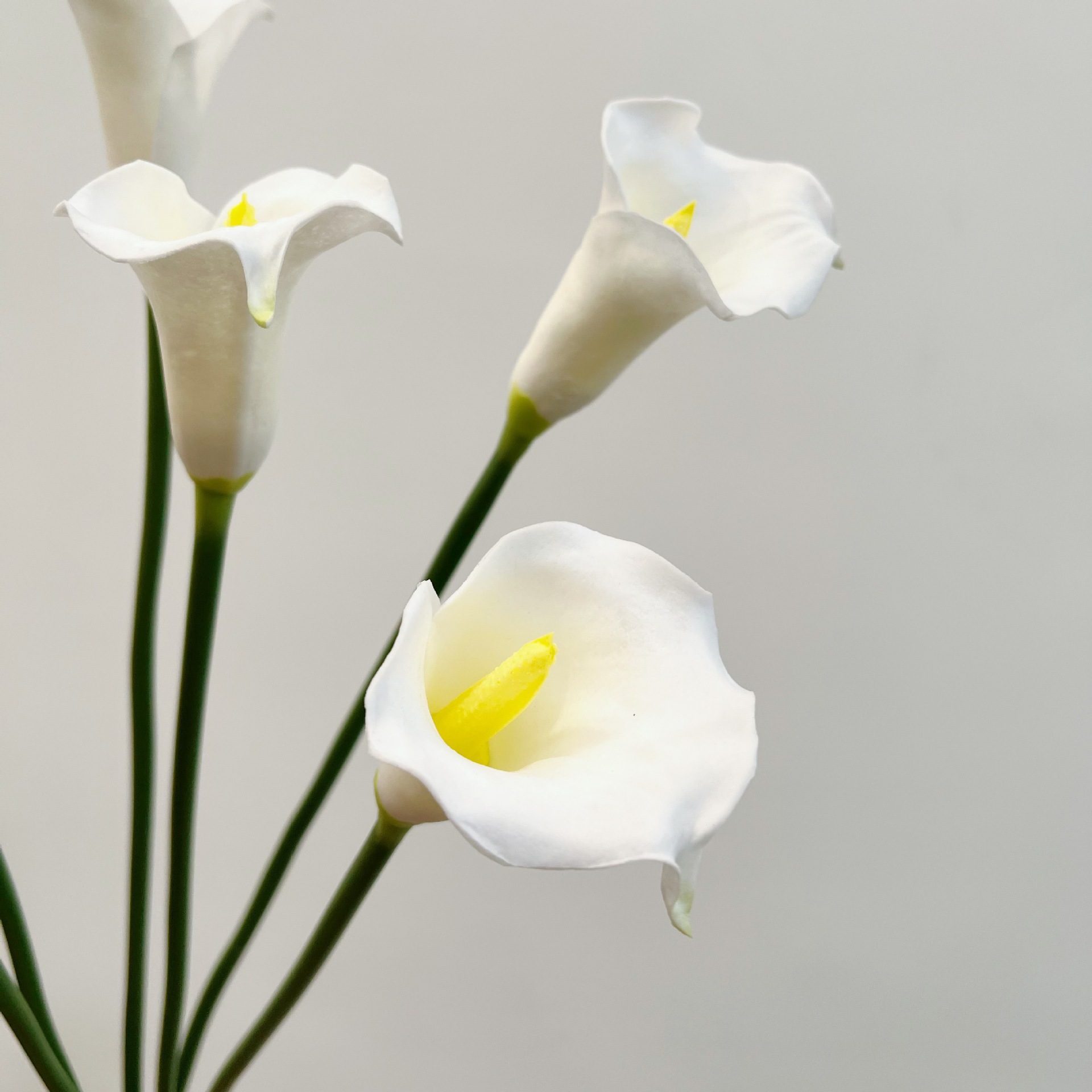 26 Inch Single Stem Crescent C - Florist Supp 评论和价格