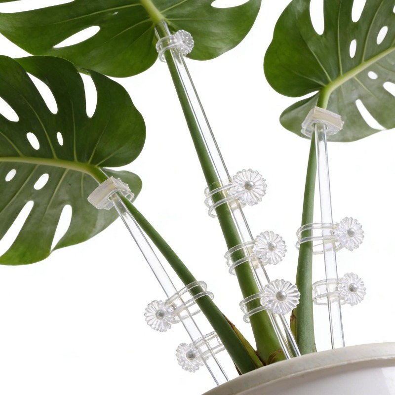Reusable Clear Flower Support  - Florist Supp 评论和价格