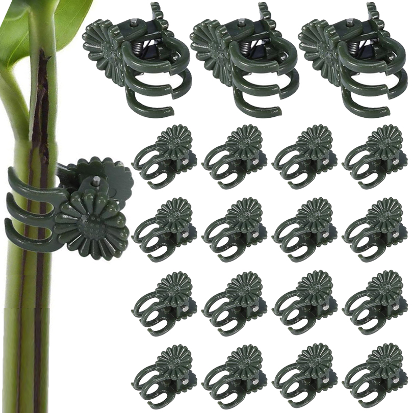 20/50/100PCS Plant Clips Vine  - Florist Supp 评论和价格