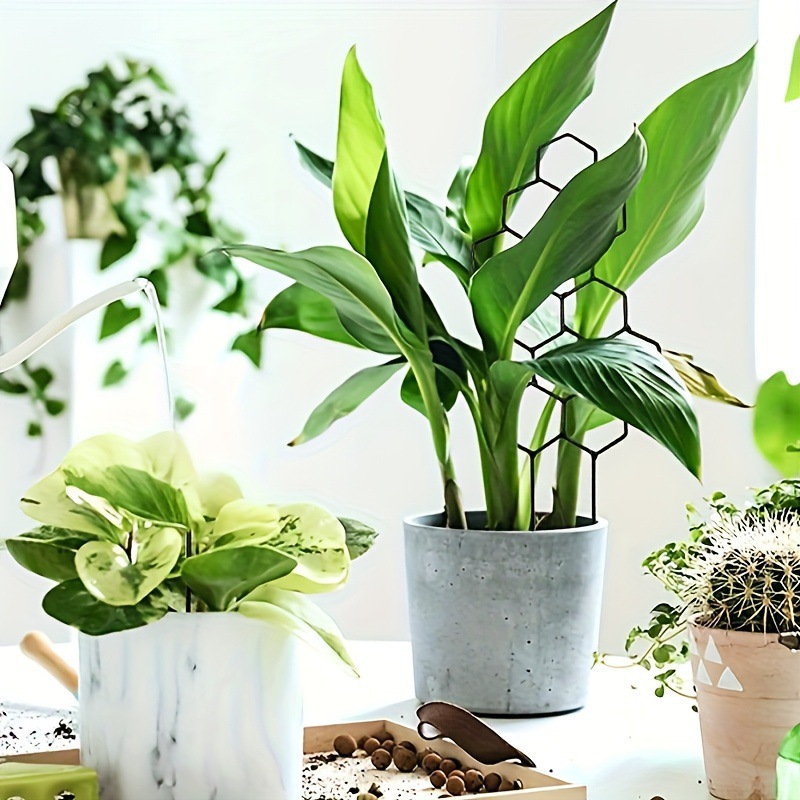 1PC Honeycomb Design Plant Tre - Florist Supp 评论和价格