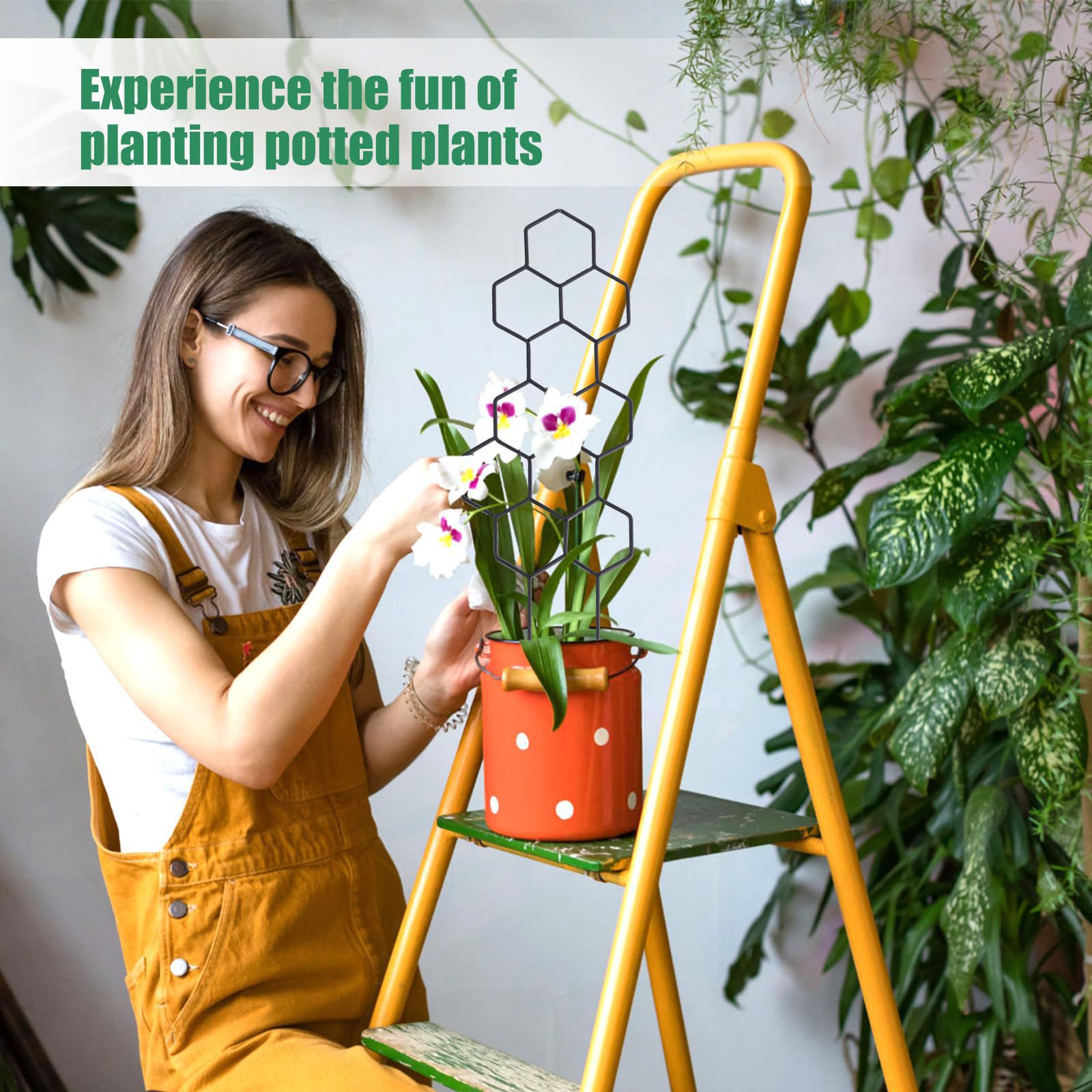 1PC Honeycomb Design Plant Tre - Florist Supp 评论和价格