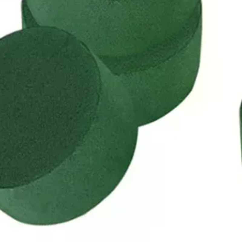 Floral Mud Foam Cylinders Oasi - Floral Foam Oasis 评论和价格